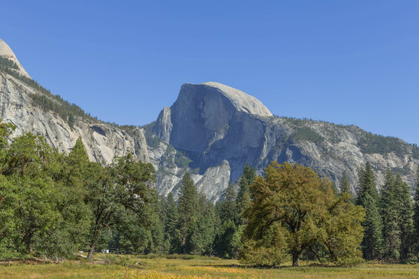 Behind-the-Scenes: Volunteering at Yosemite Facelift