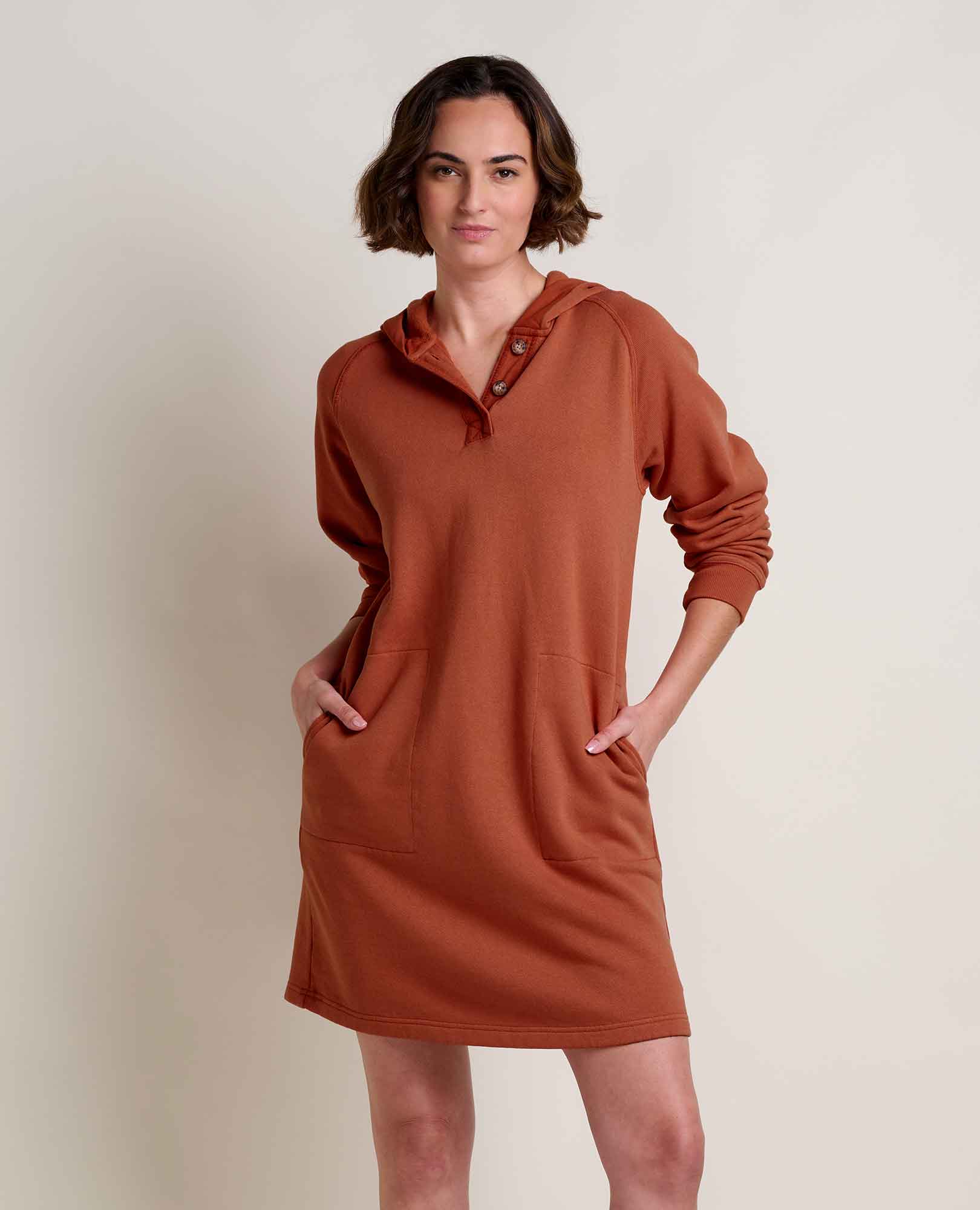 Toad & Co Fernscape Long Sleeve Hooded Dress - Dark Roast
