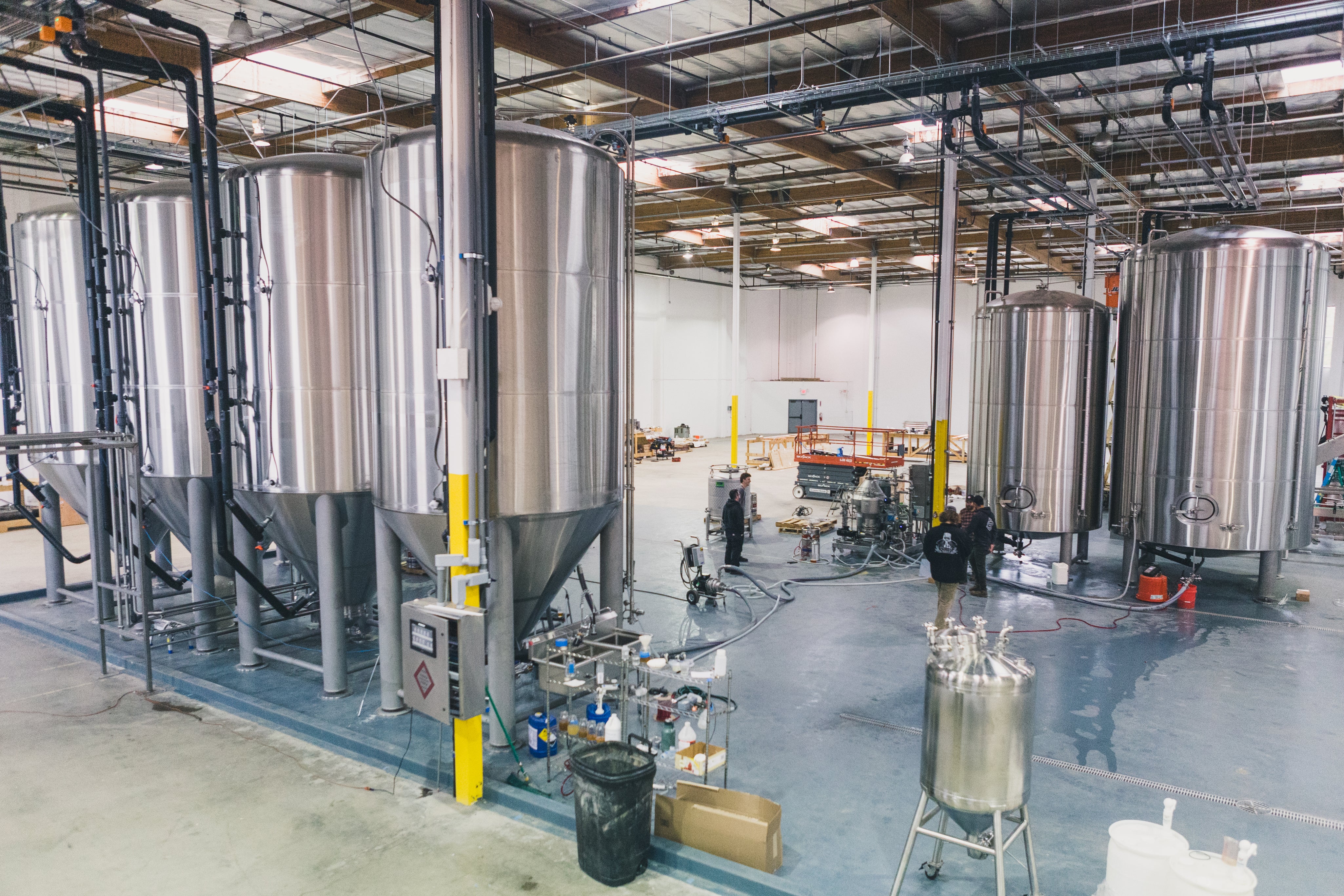 Good Toadings: Toad&Co x Topa Topa Brewing Co. Collaboration Beer