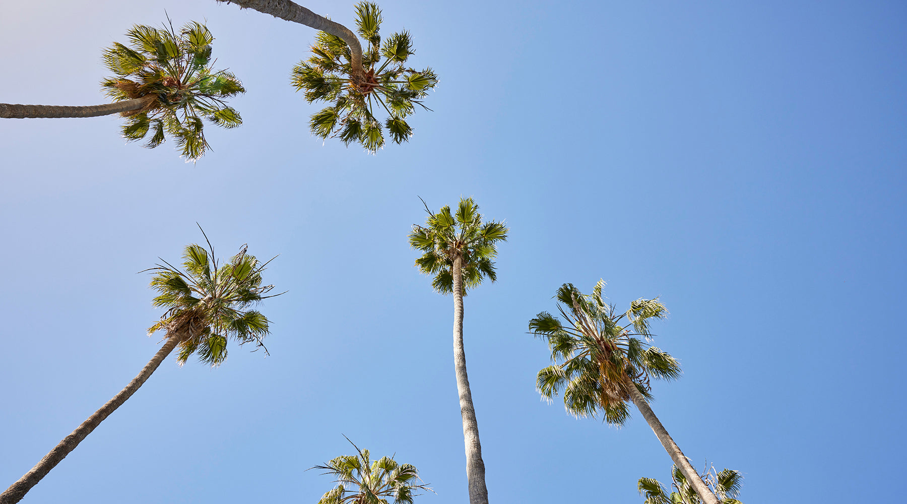 4 Practical Wellness Habits To Rejuvenate Your End of Summer