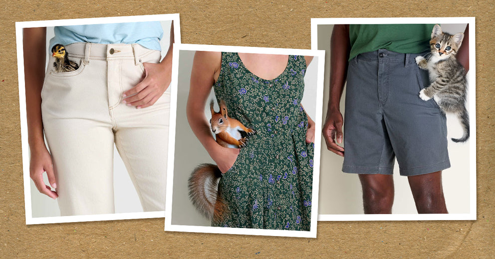 Introducing Pocket Pets - Gift With Purchase