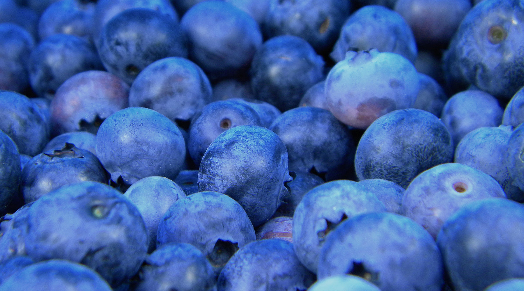 Food Waste 101: What To Do With Overripe Fruit – Toad&Co