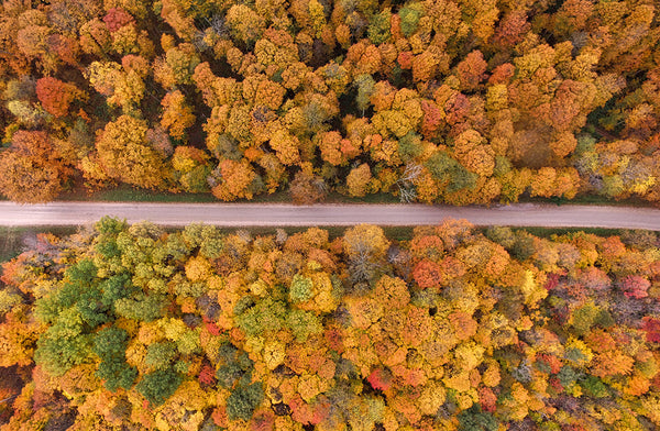 5 Fall Road Trips for Leaf Peeping