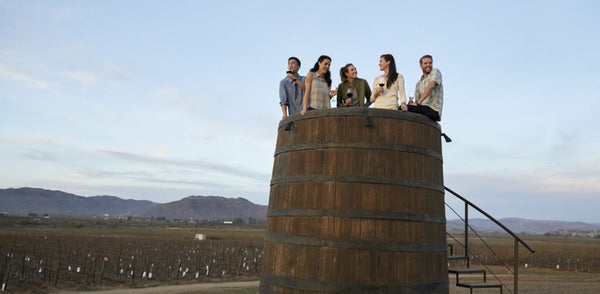 The Guadalupe Wine Country: Baja's New Napa