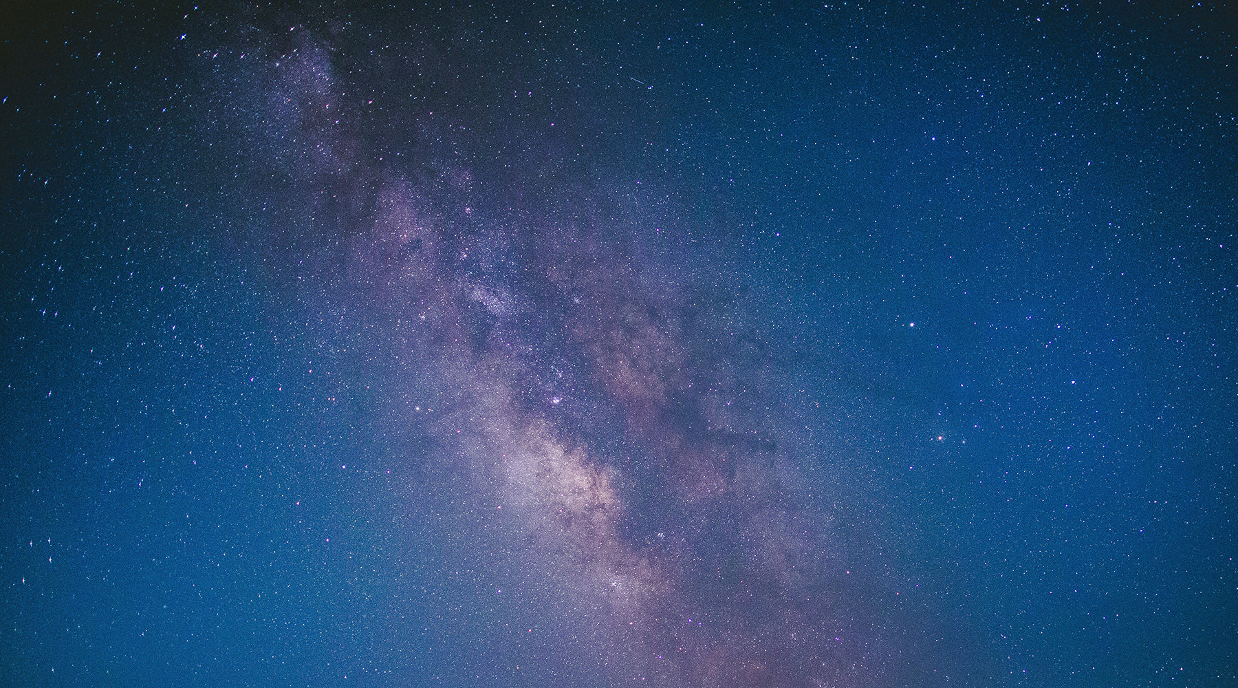 Your Spring Toadscope