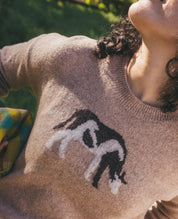 Women's Wasatch Crew Sweater