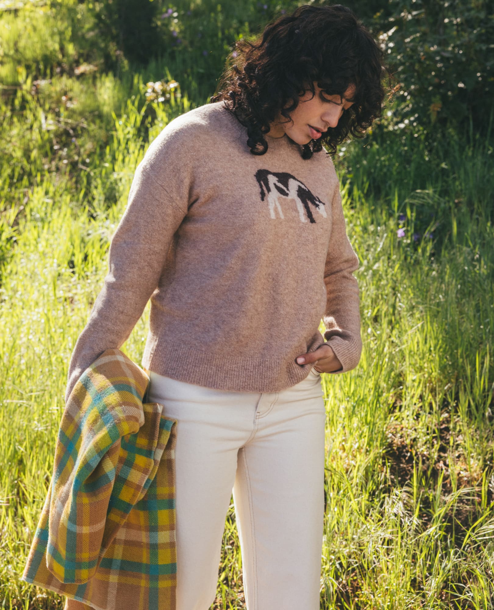 Women's Wasatch Crew Sweater