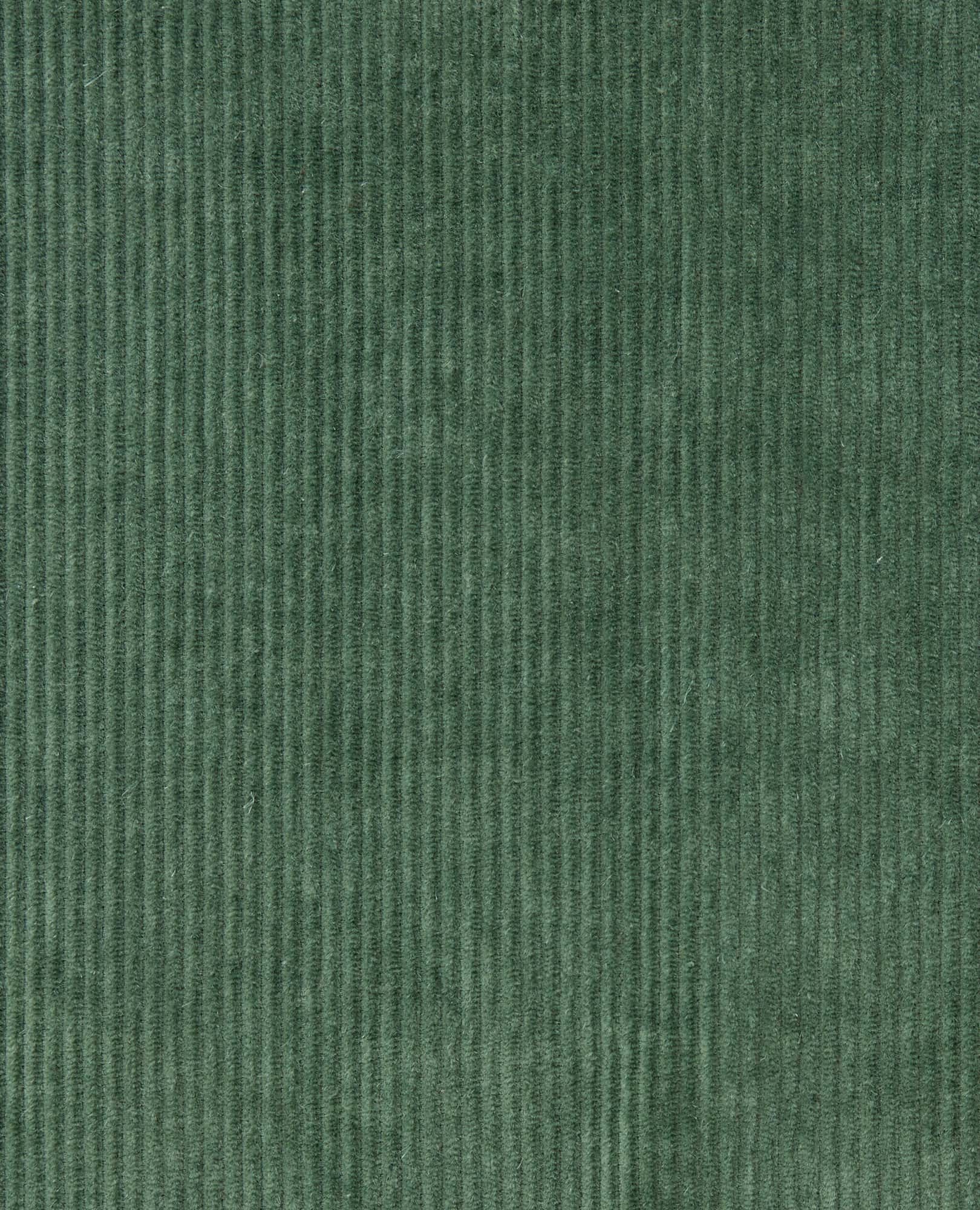 Women's Cascadia Pull-On Pant