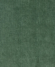 Women's Cascadia Pull-On Pant