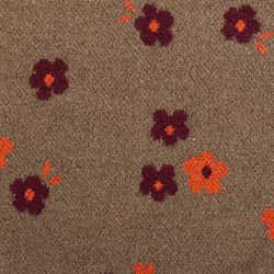 Falcon Brown Flowers