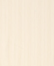 Women's Airscape Long Sleeve Shirt