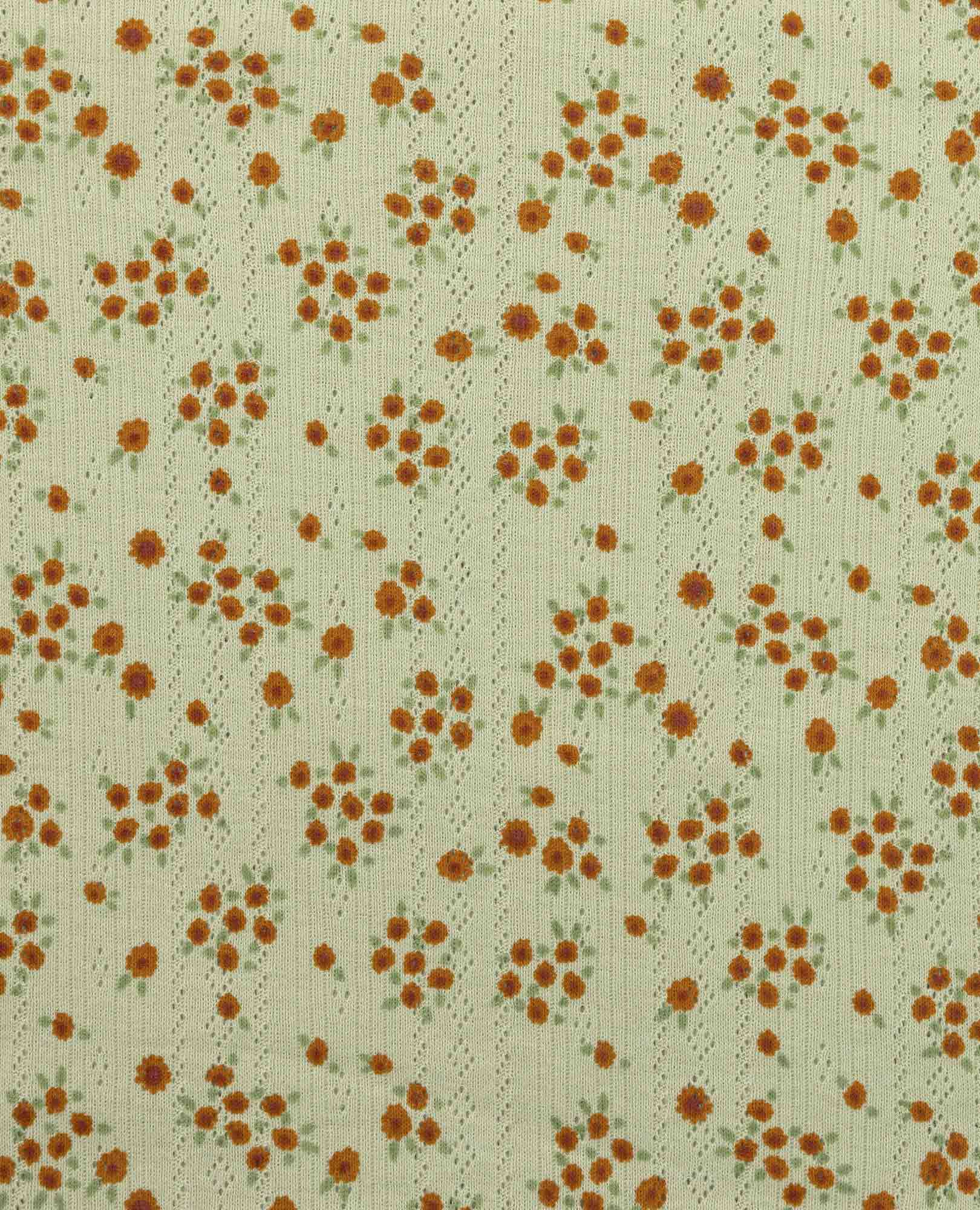 Foothill Pointelle Baby Tee