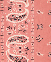 Arroyo Twill Boxy Shirt