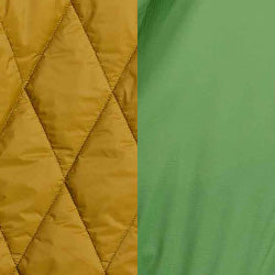 Coyote and Artichoke