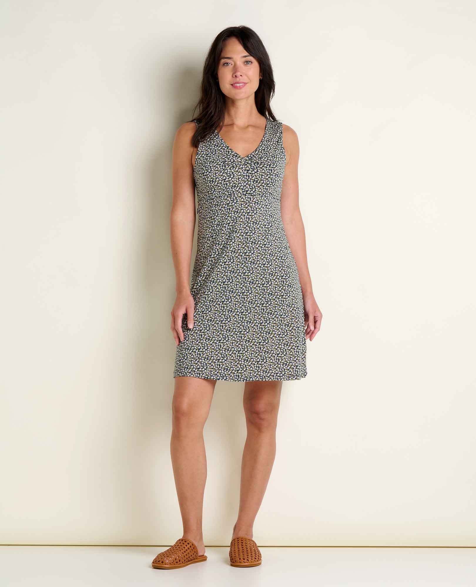 Toad & Co. Rosemarie Tank Dress