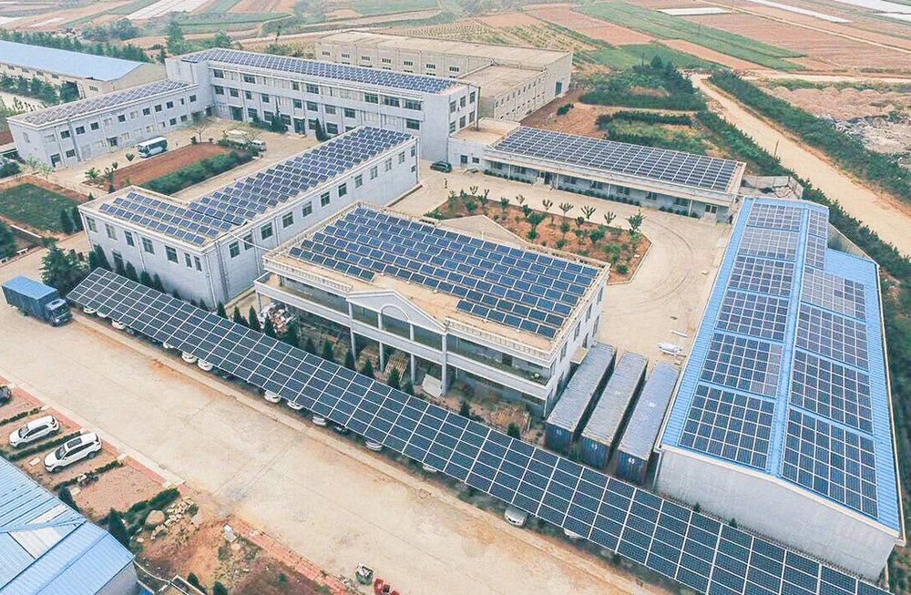 Spotlight on Egedeniz Textile Factory